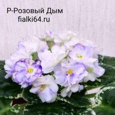 Р-Розовый Дым (В. Зуб)